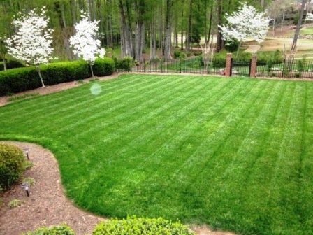 White Flowering Trees Around Large Green Lawn