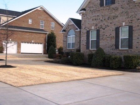 Dying Lawn & Nice Landscaping Next to Home
