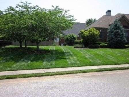 Mowing Lines on Fresh Lawn In Front Of Home