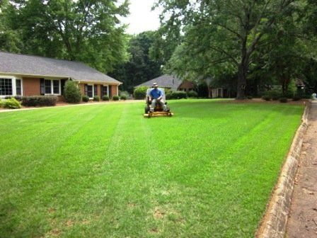 Expert Contractor Using Large Mower to Cut Lawn