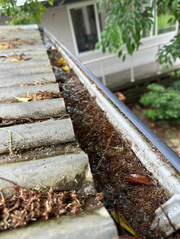 A Close Up of a Gutter on a Roof With Leaves on It — Ryno's Plumbing Group in Lakewood, NSW