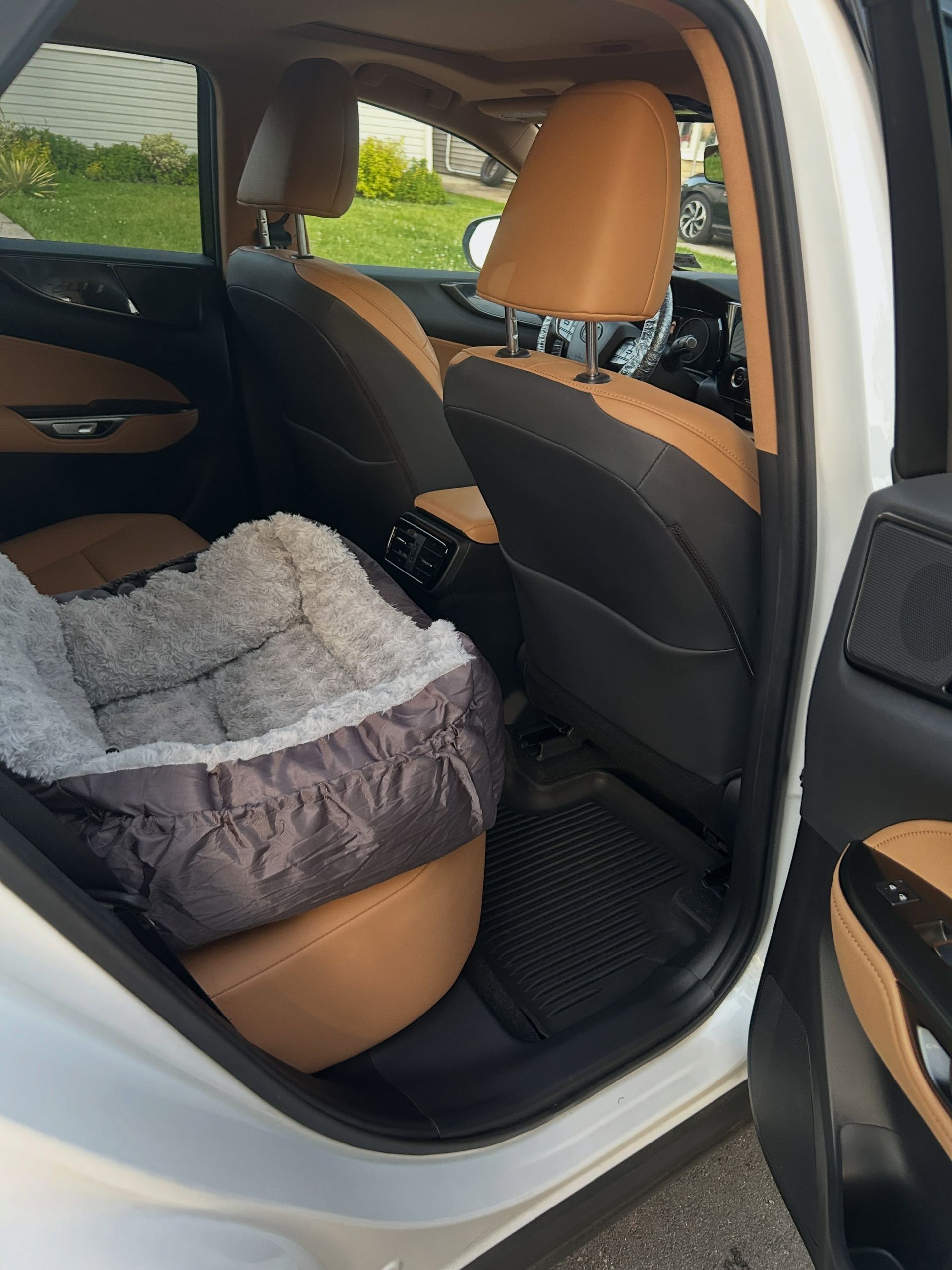 Dog bed in the back seat of a white car with tan and black interior