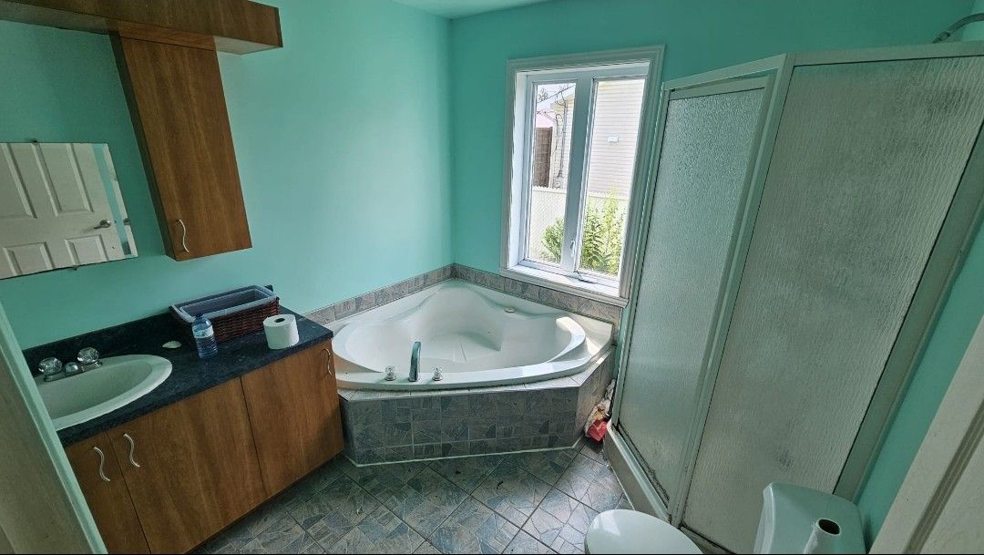 Une salle de bain avec baignoire jacuzzi, lavabo, WC et douche.