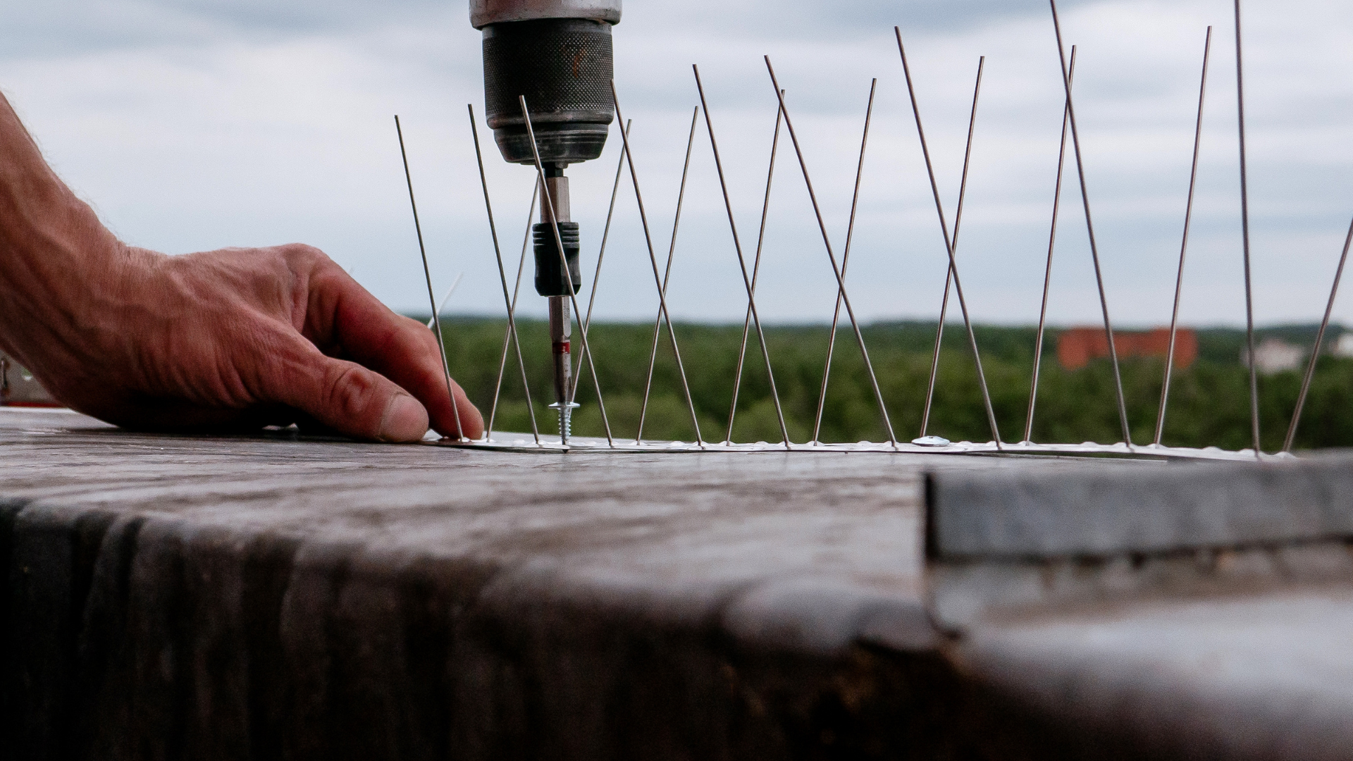 Person using a drill to install bird spikes on a rooftop ledge.