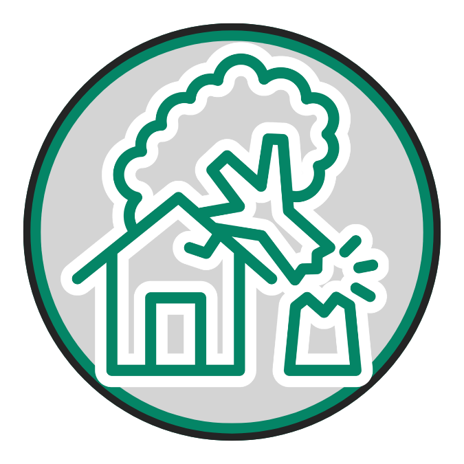 Emergency & Storm Damage Services Icon