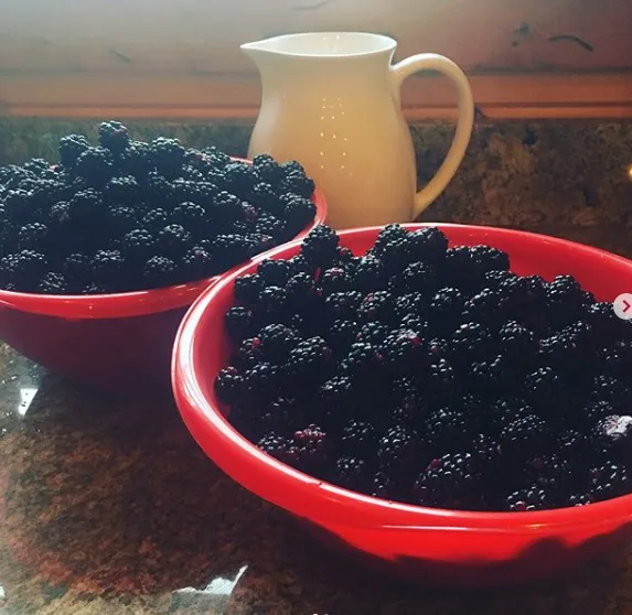 fresh-blackberries-in-large-red-bowls-and-a-decorative-white-pitcher