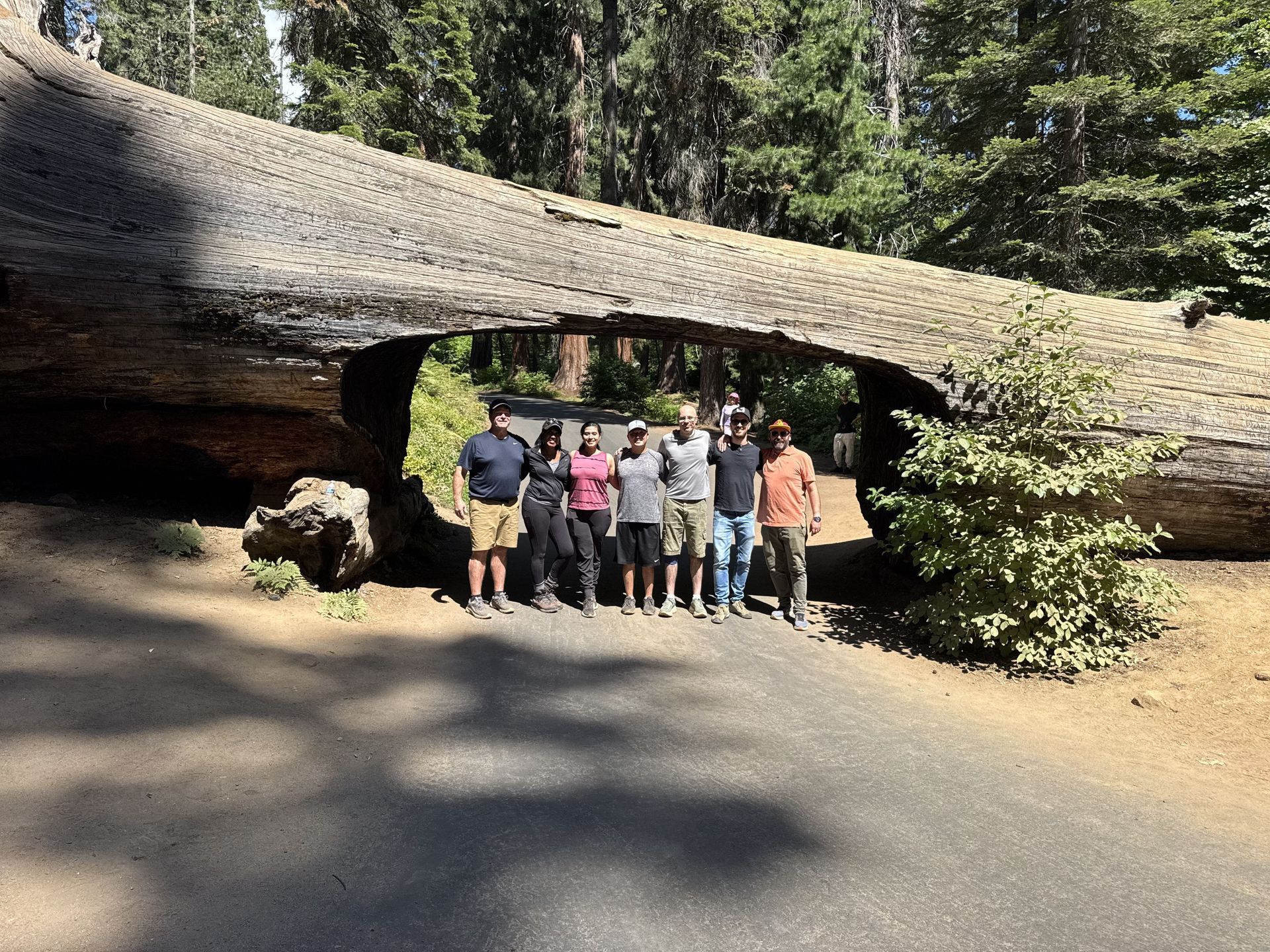 polar kraft bass boat