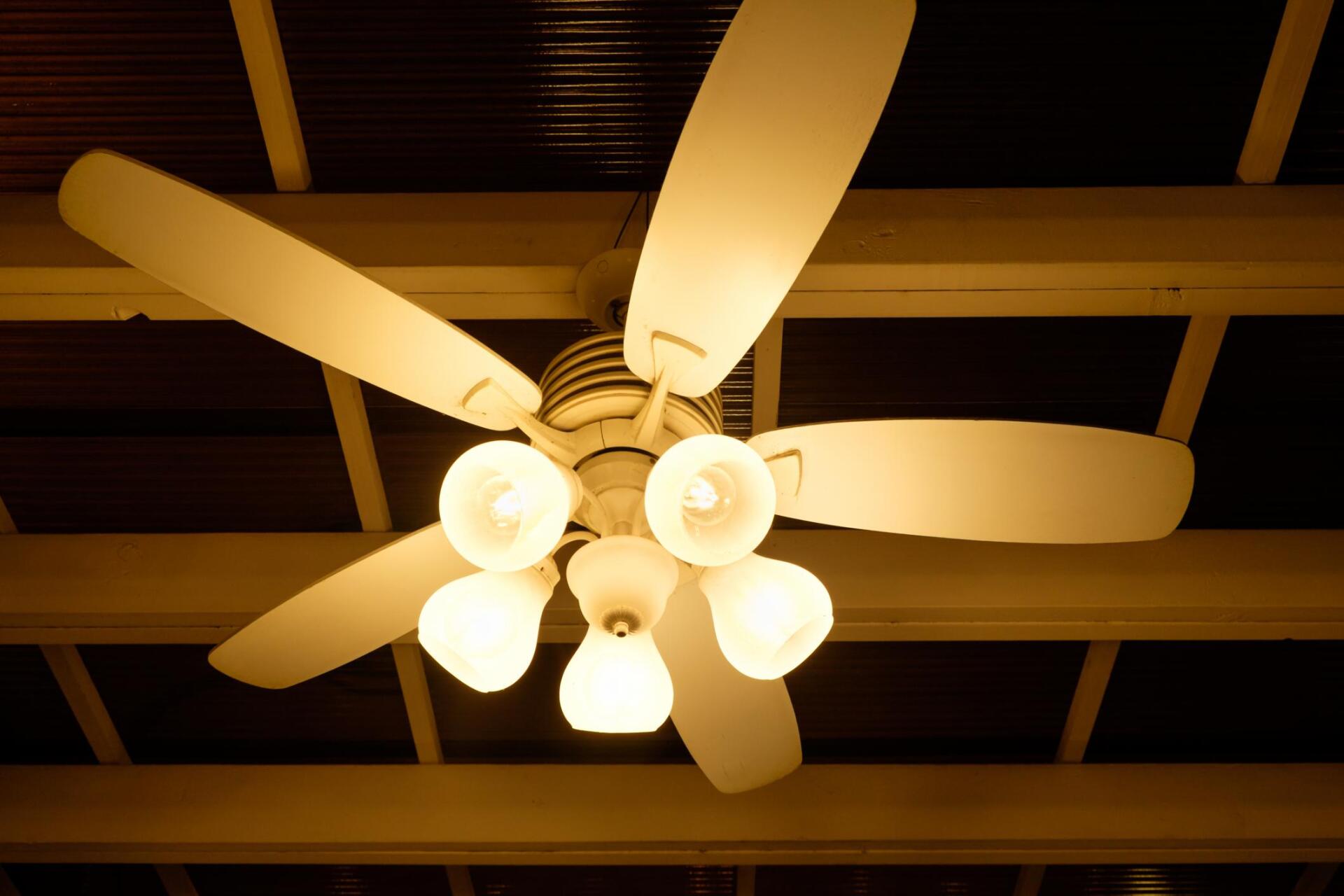 ceiling fan with dim yellow light