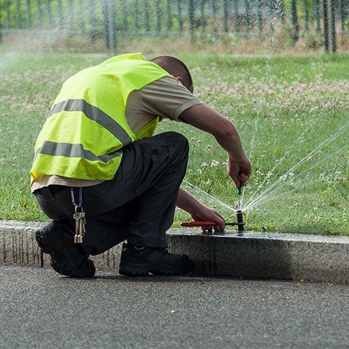 Beautiful Wide Backyard — Gainesville, FL — Lawn Enforcement Agency
