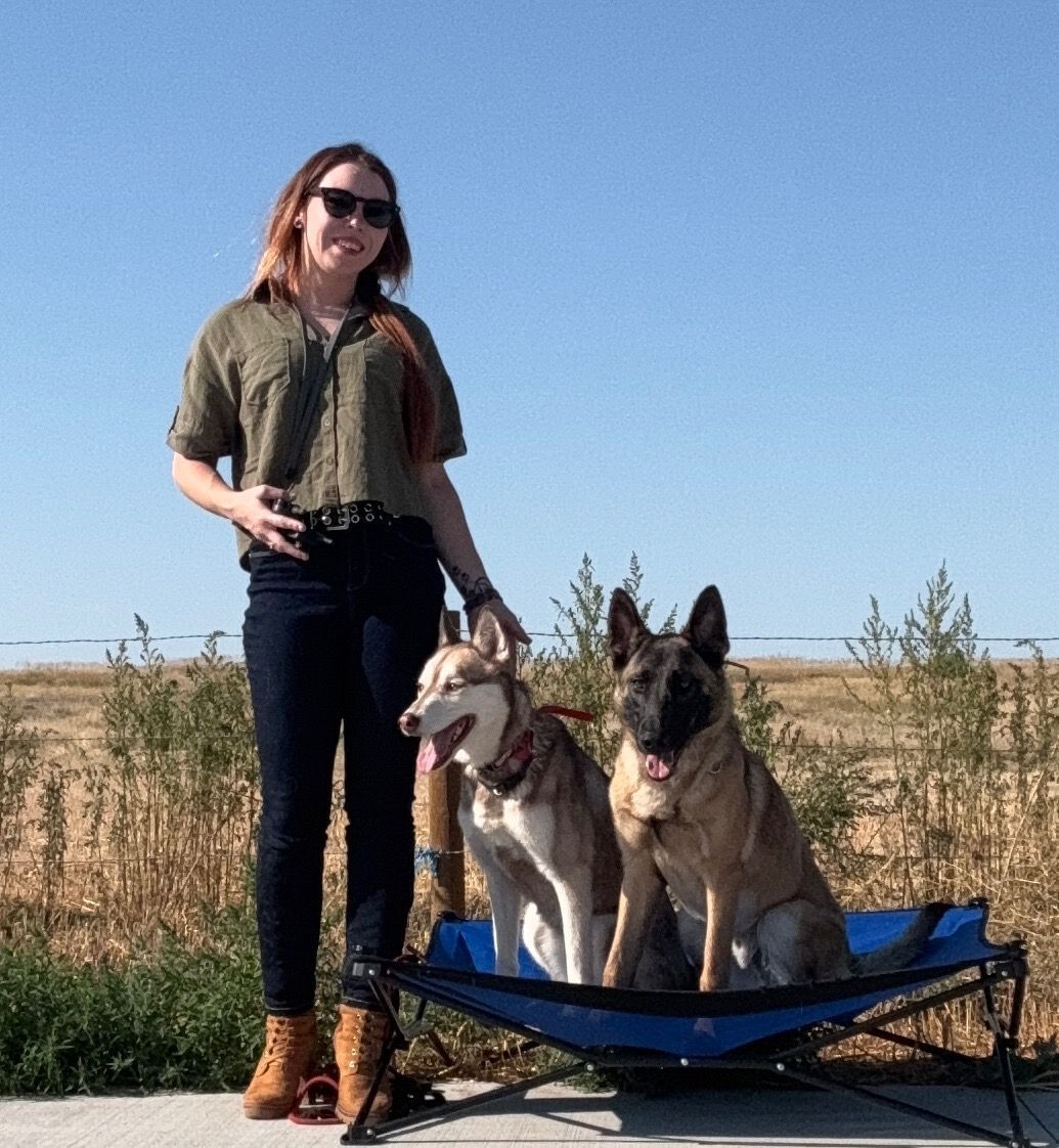 Woman with two dogs in a portable bed; outdoors, sunny, smiling.