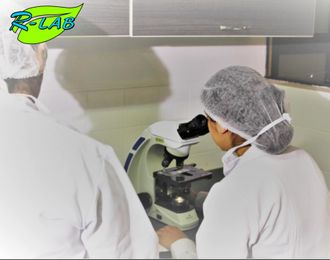 R-Lab