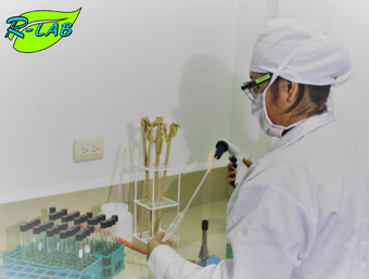 R-Lab