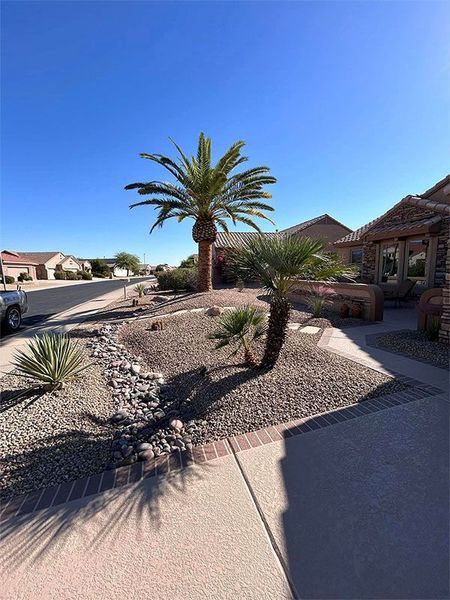 A palm tree is in the middle of a driveway in front of a house.