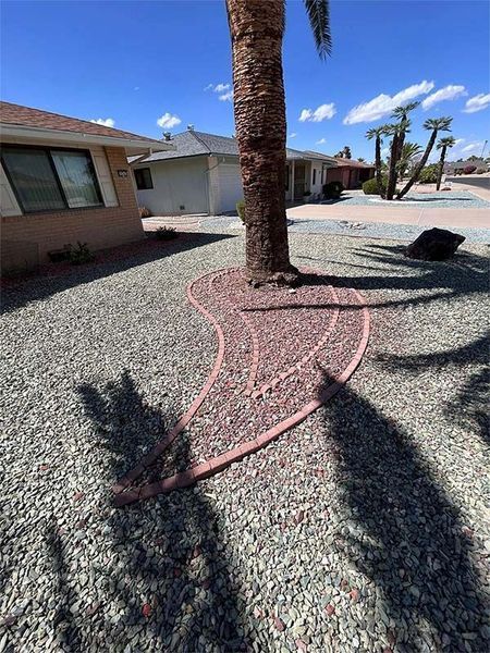 A palm tree is in the middle of a gravel driveway in front of a house.