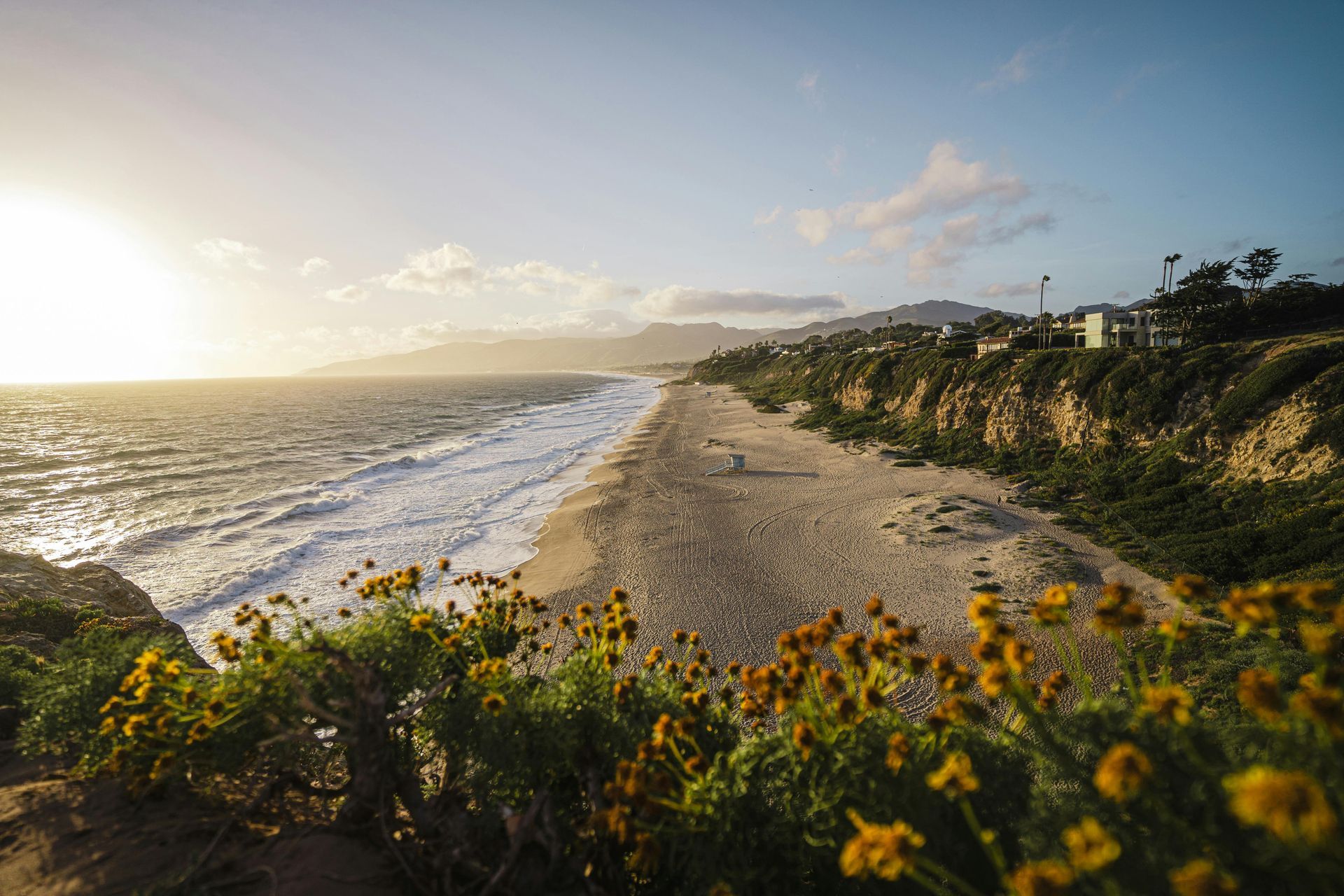 A beach with flowers and a cliff overlooking the ocean at sunset.