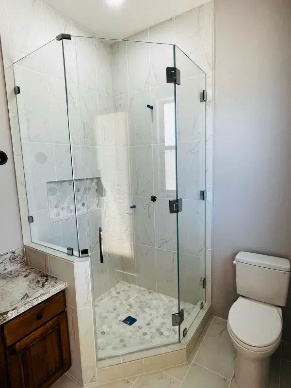 A bathroom with a walk in shower and a toilet.
