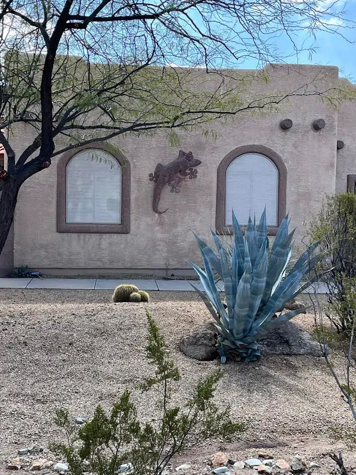 A house with a lizard on the side of it and a cactus in front of it.