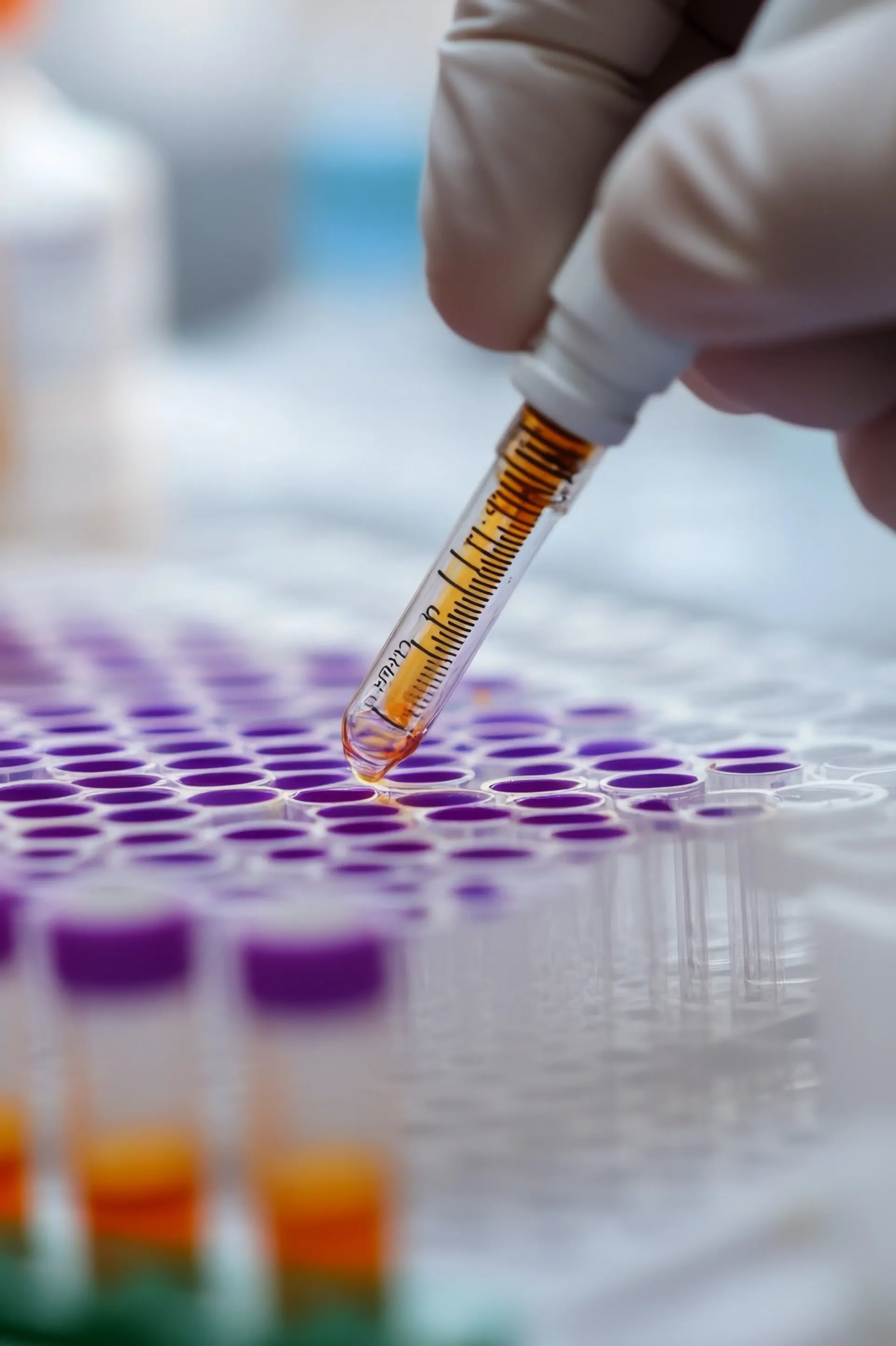 A gloved hand uses a pipette to transfer orange liquid into a laboratory multi-well plate.