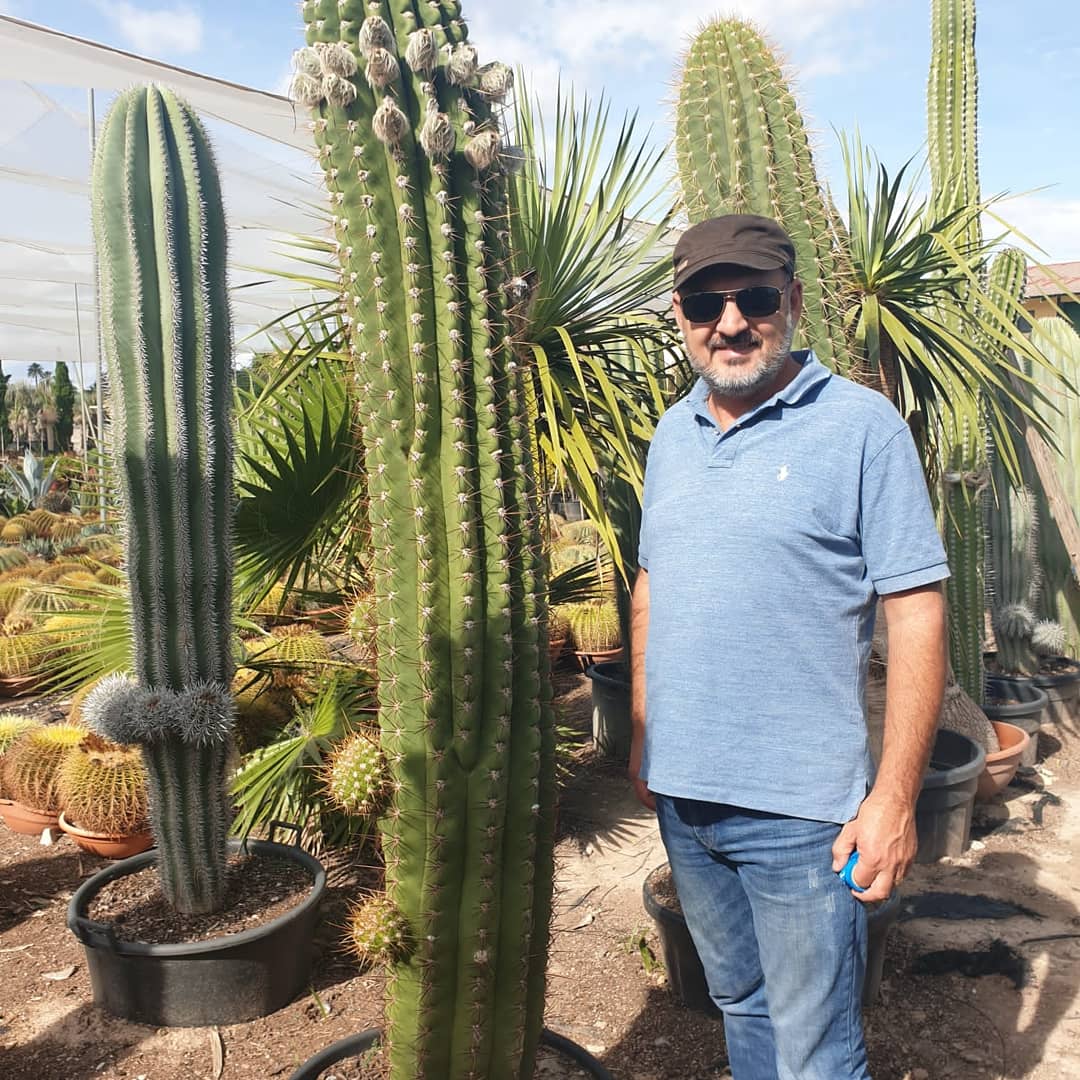 Un uomo è in piedi accanto a un grande cactus in un giardino.