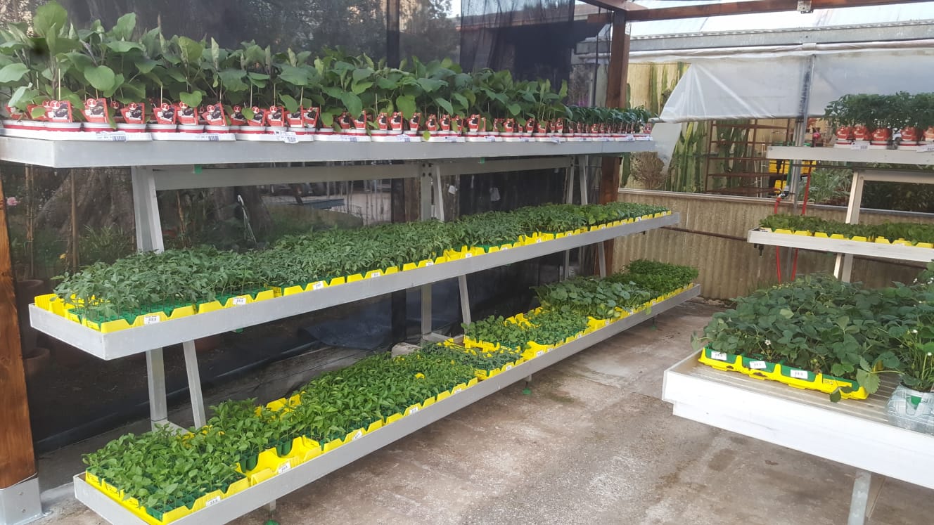 Una serra piena di tante piante e fiori.