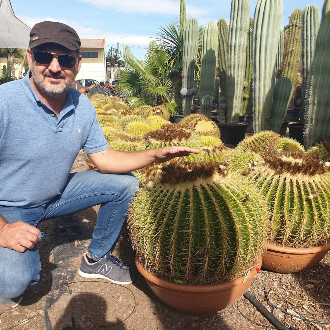 Un uomo è inginocchiato accanto a un cactus in vaso.