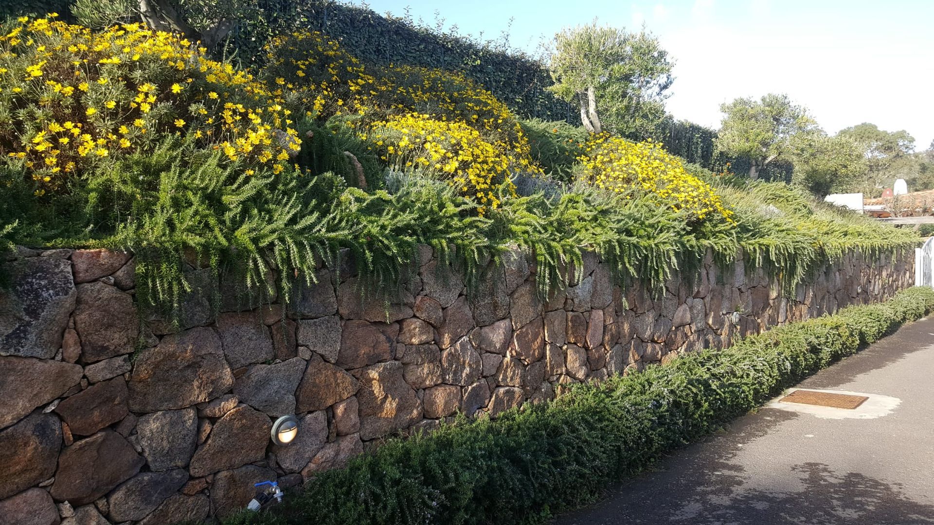 Un muro di pietra circondato da cespugli e fiori su una collina.