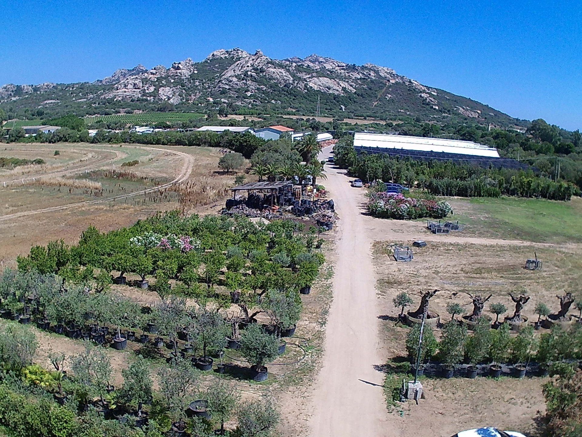 Una veduta aerea di una strada sterrata con una montagna sullo sfondo