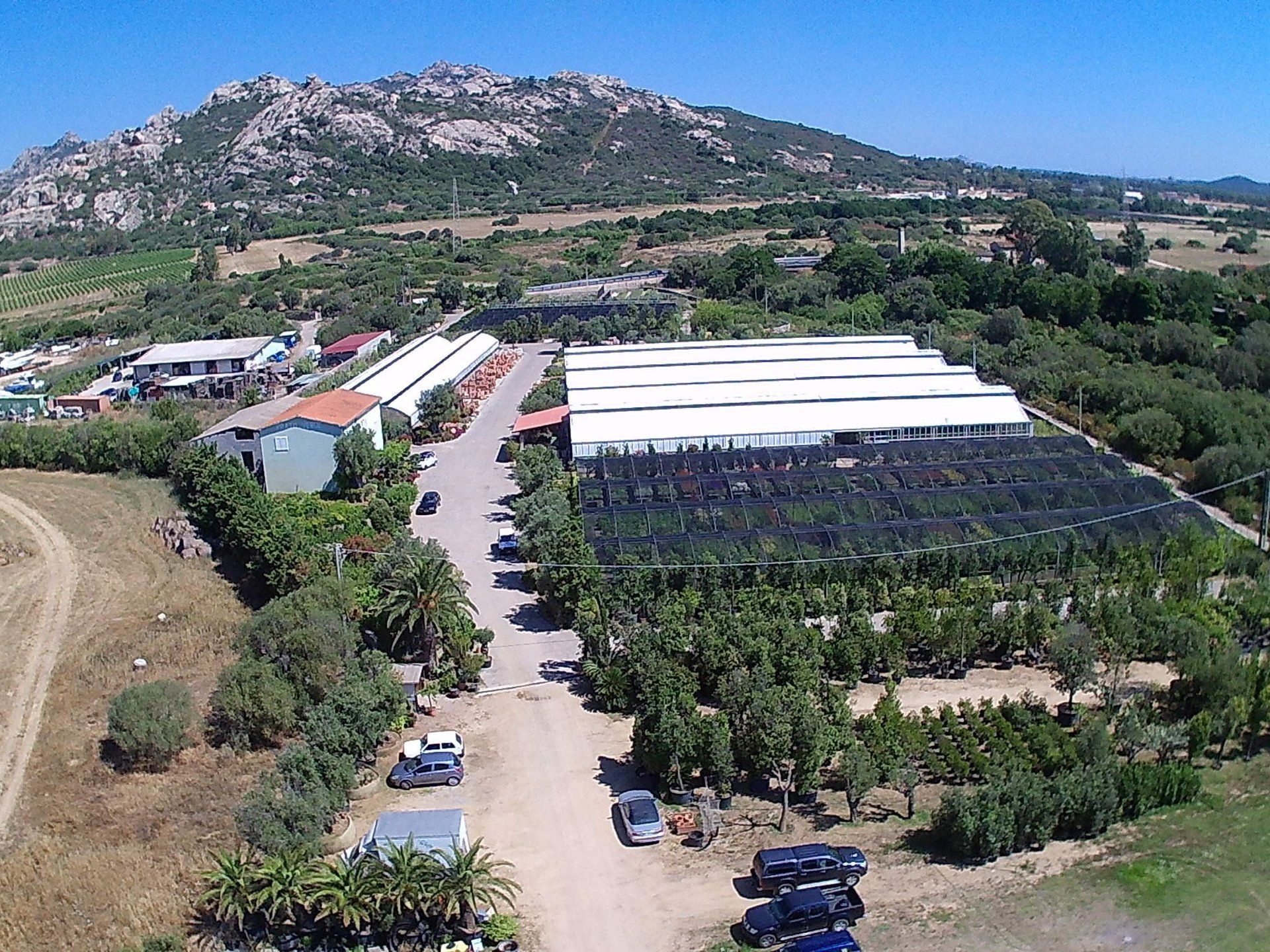 Una veduta aerea di una fattoria con una montagna sullo sfondo