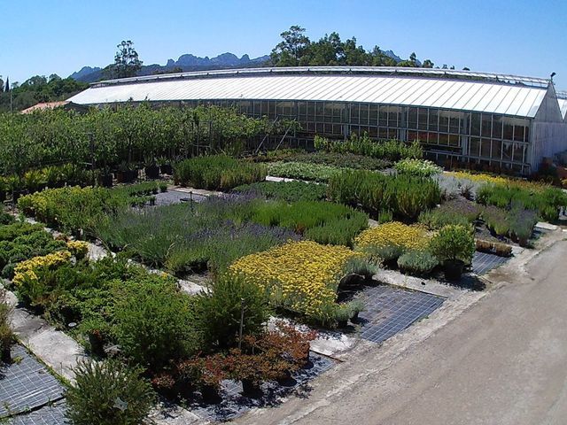 Un grande edificio con molte piante davanti
