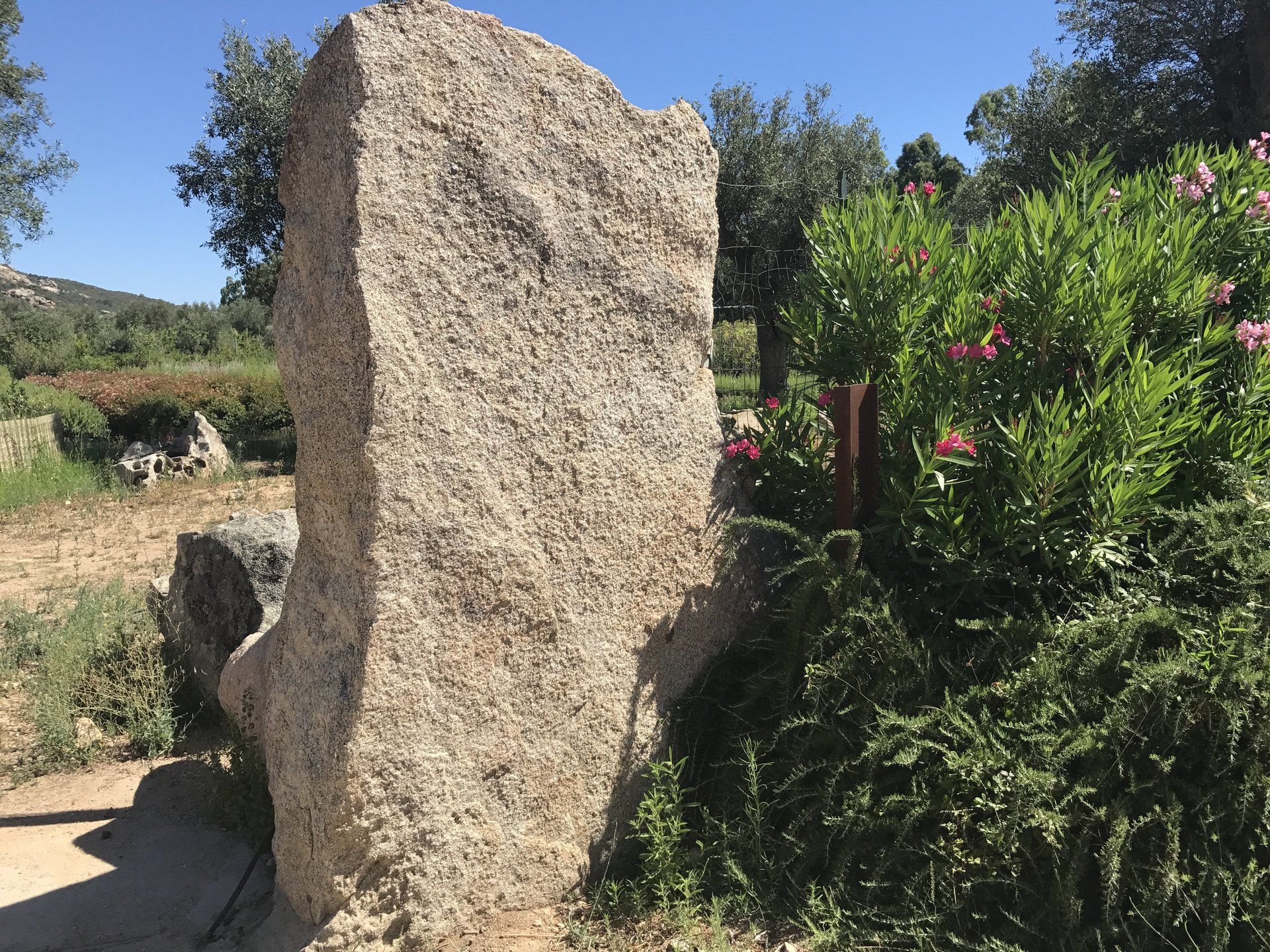 Una grande roccia si trova nel mezzo di un campo vicino a un cespuglio.