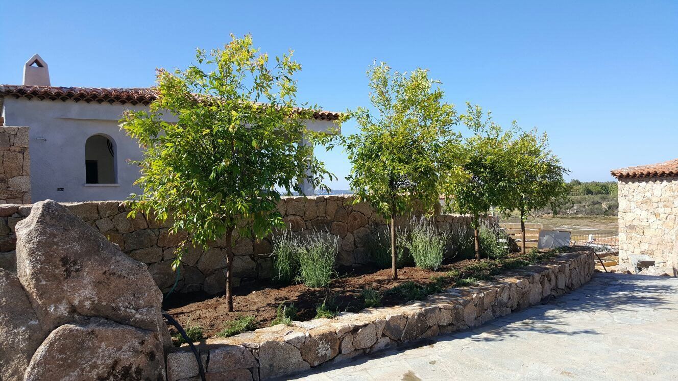 Un muro di pietra con alberi davanti a una casa
