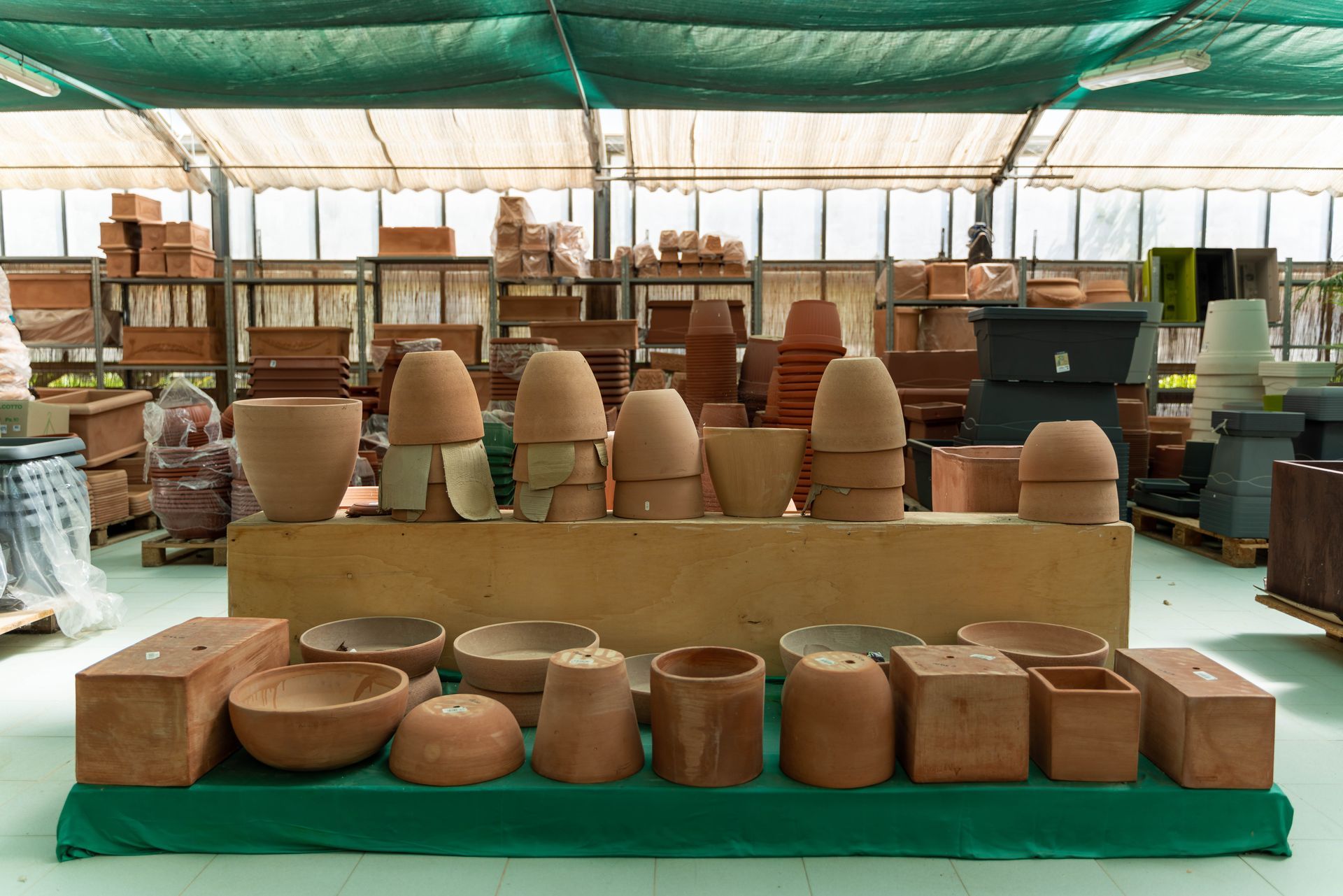 Ci sono molti tipi diversi di vasi esposti in una serra.