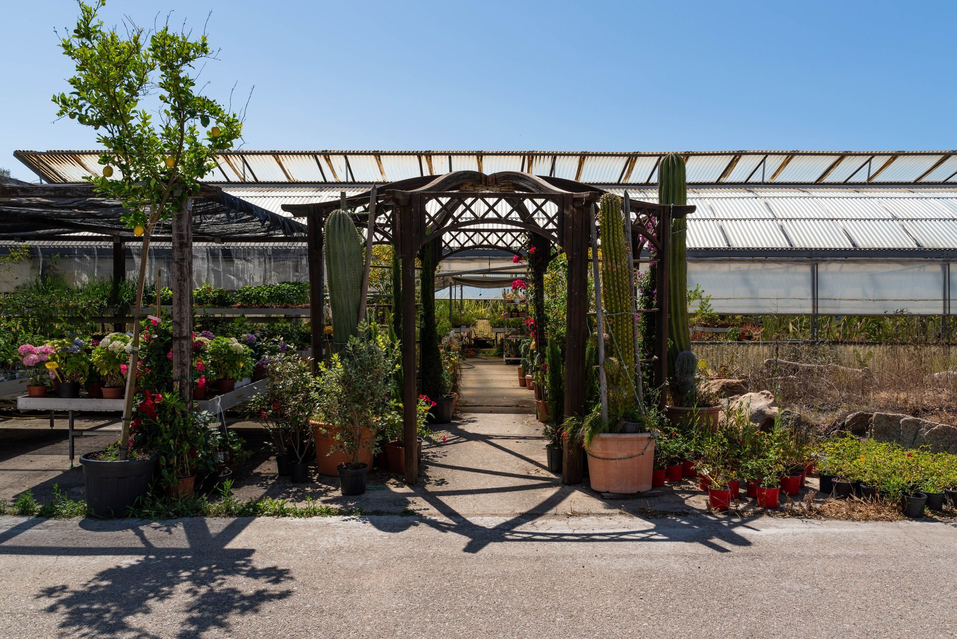 Realizzazione giardini