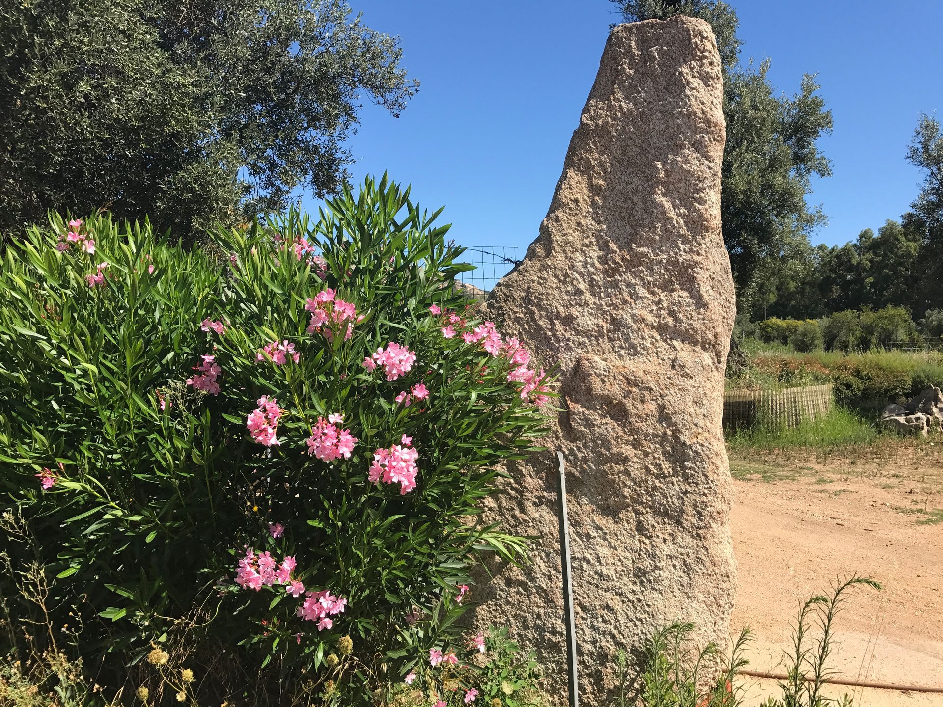 A large rock with pink flowers in front