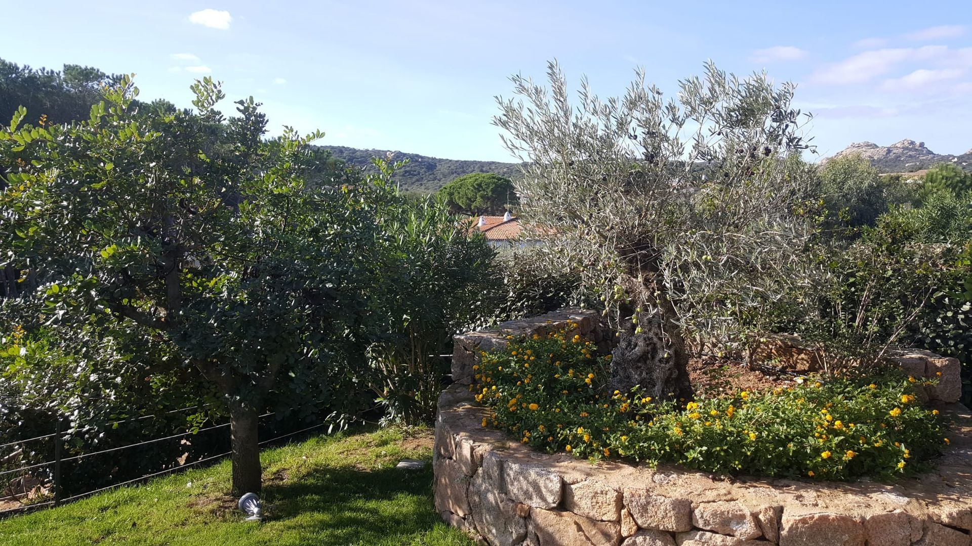 Un muro di pietra è circondato da alberi e cespugli in un giardino.