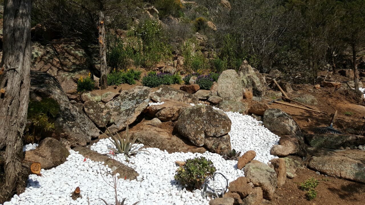 Una zona rocciosa con ghiaia bianca e alberi sullo sfondo