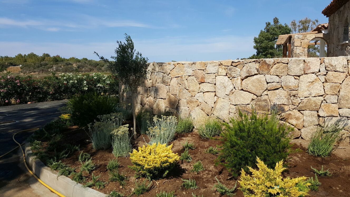 Un muro di pietra con molte piante e alberi di fronte