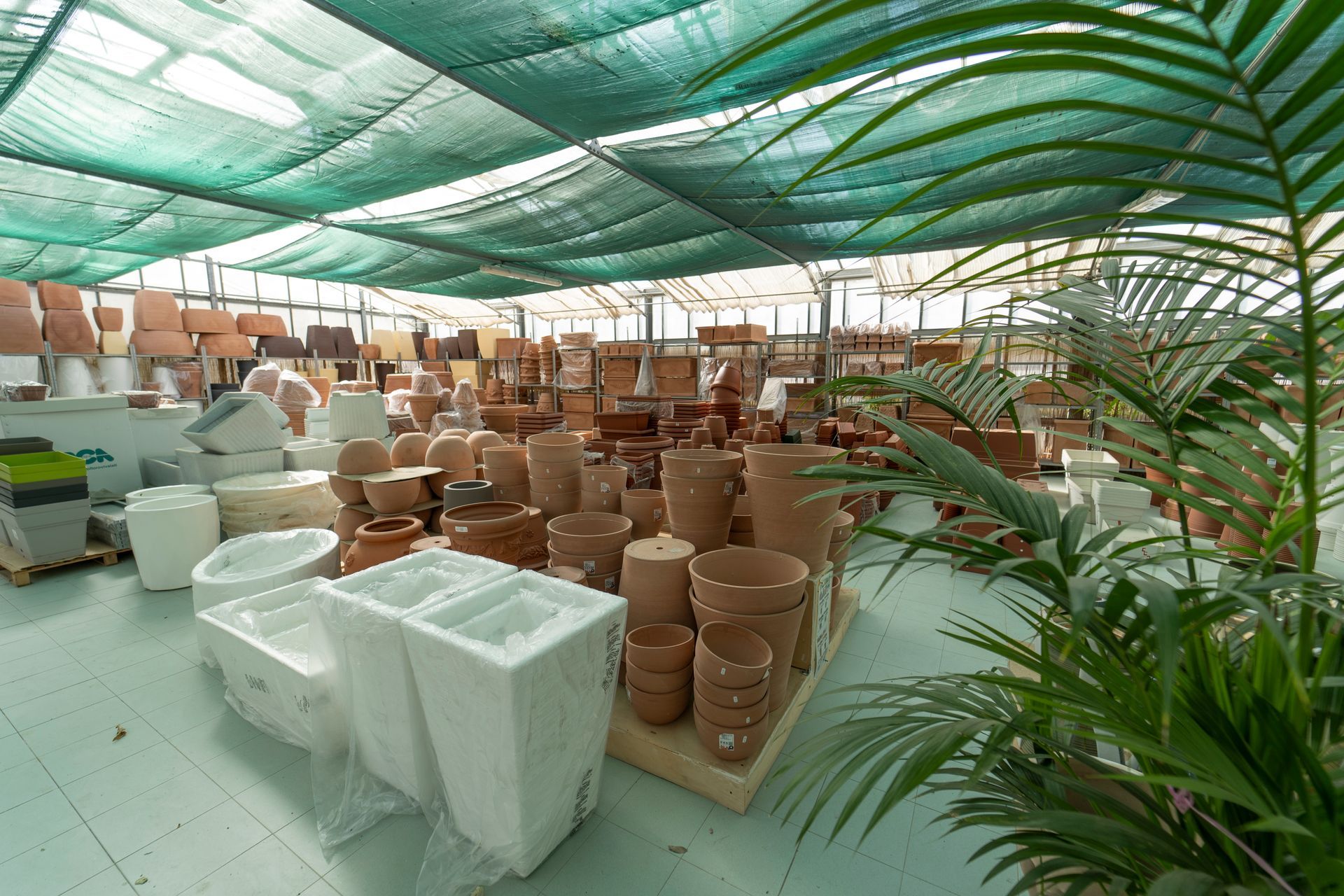 Una serra piena di vasi e piante.