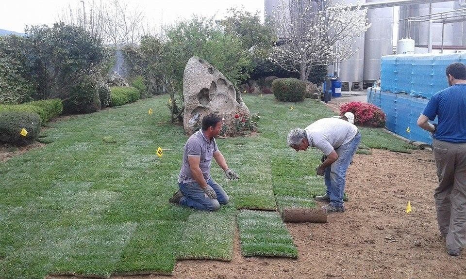 giardinieri per la realizzazione di giardini in Sardegna