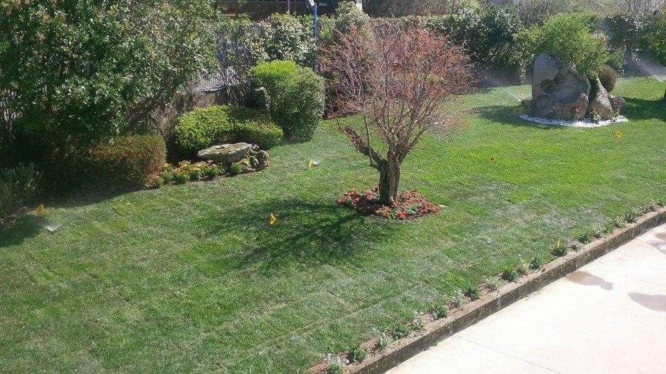 intervento di realizzazione giardini in Sardegna