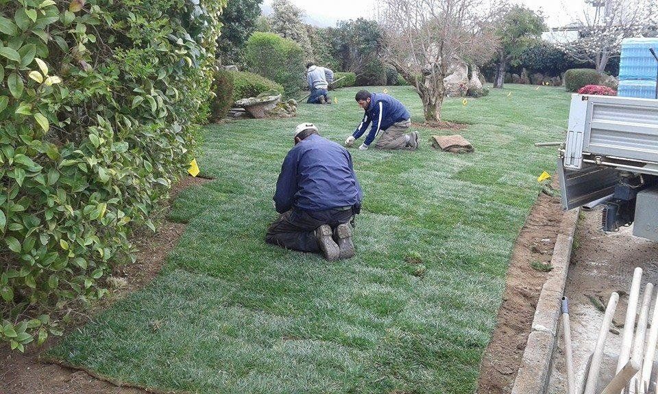 intervento di realizzazione giardini in Sardegna