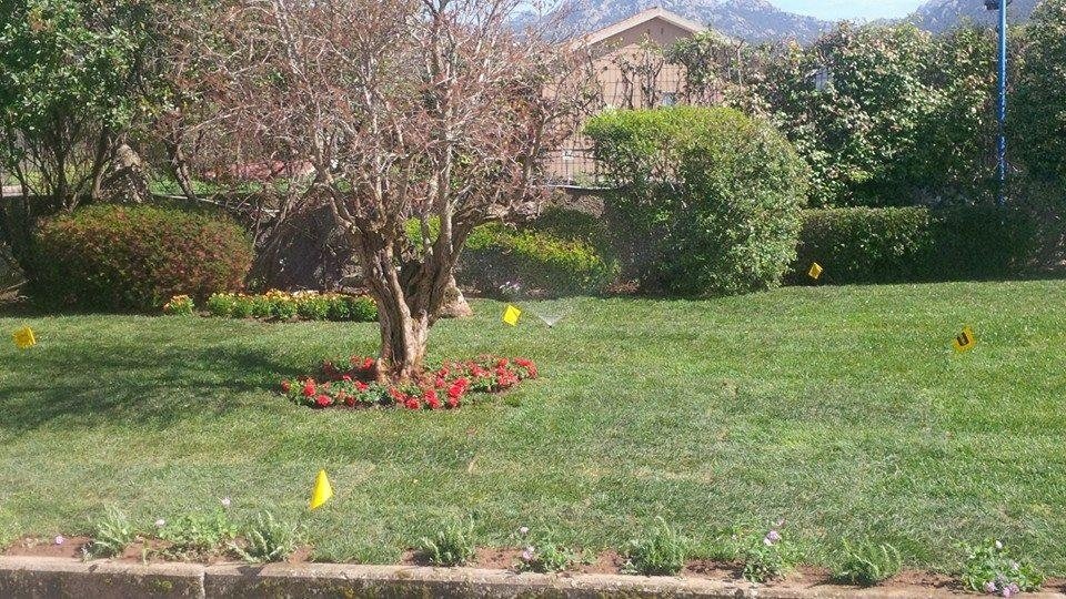 interventi di realizzazione giardini in Sardegna