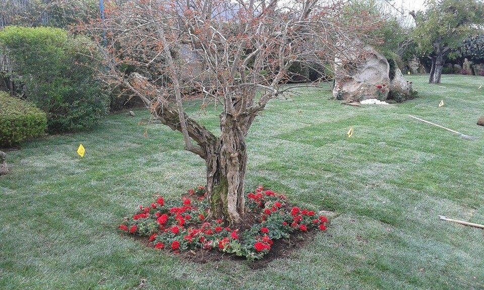 lavori per realizzazione giardini in Sardegna