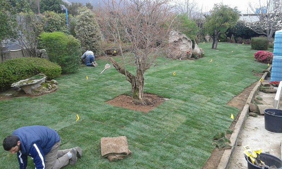 progetto di realizzazione di giardini in Sardegna