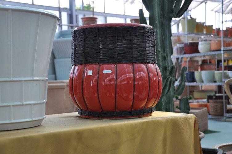 Su un tavolo davanti a un cactus è posato un vaso rosso