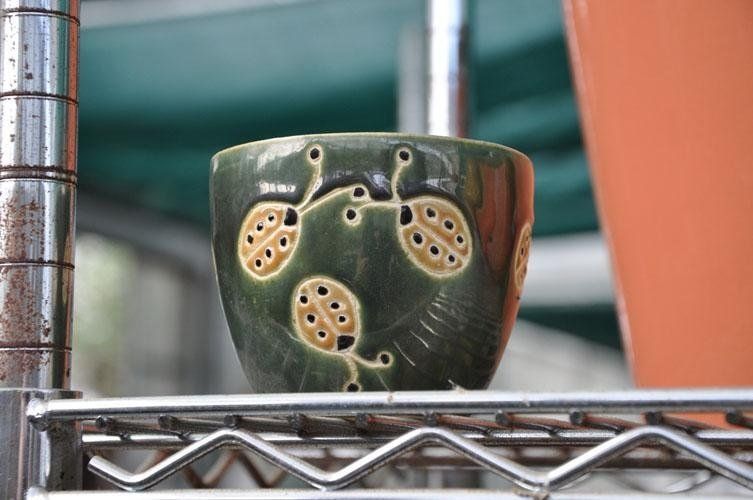 Su uno scaffale di metallo è posata una ciotola verde con sopra delle coccinelle.