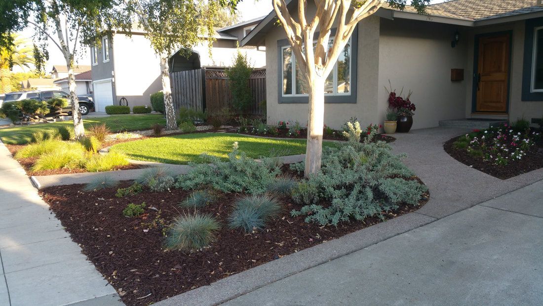 A house with a tree in front of it