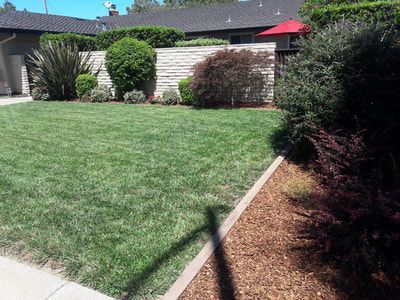 A lush green lawn in front of a house with a red umbrella.