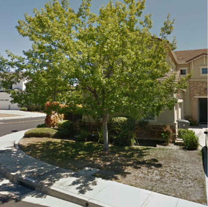 A house with a tree in front of it