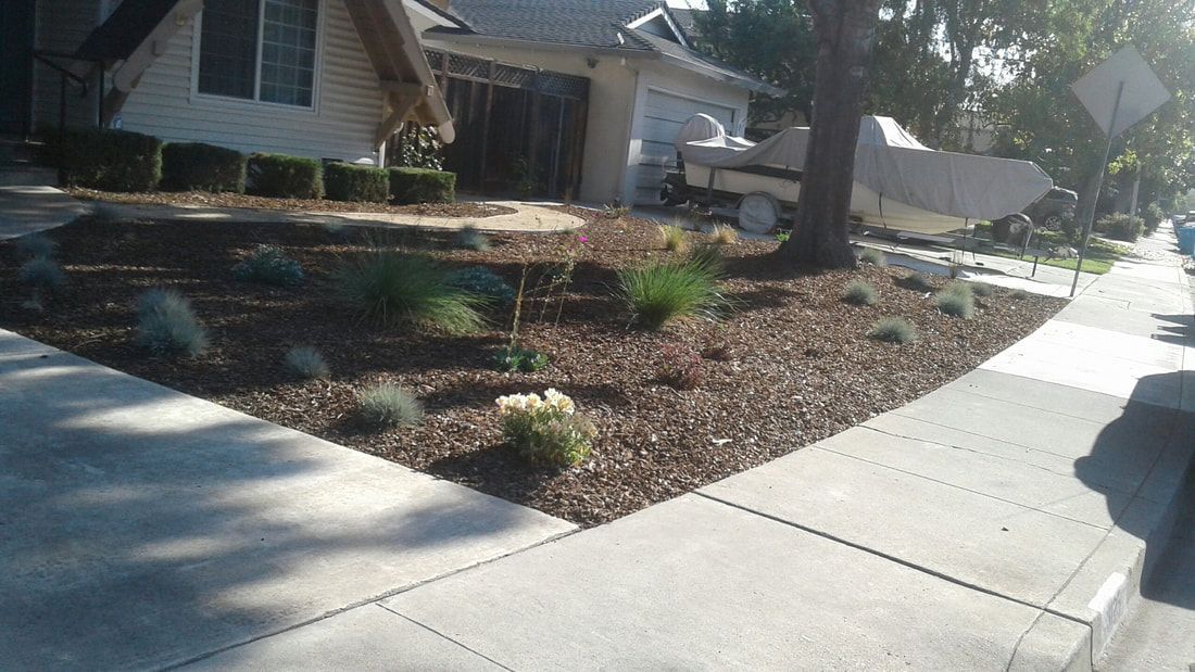 A house with a lot of mulch in front of it